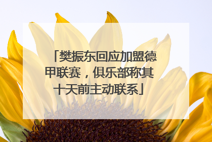 樊振东回应加盟德甲联赛，俱乐部称其十天前主动联系