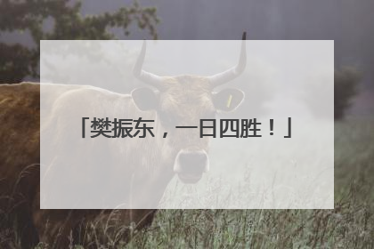 樊振东，一日四胜！
