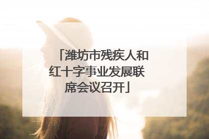 潍坊市残疾人和红十字事业发展联席会议召开