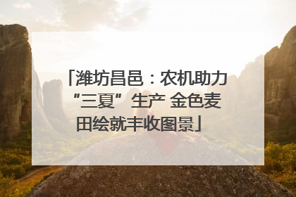 潍坊昌邑：农机助力“三夏”生产 金色麦田绘就丰收图景