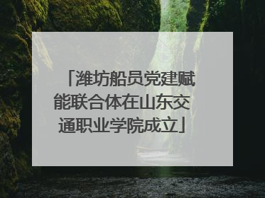潍坊船员党建赋能联合体在山东交通职业学院成立