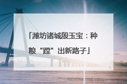 潍坊诸城殷玉宝：种粮“蹚”出新路子