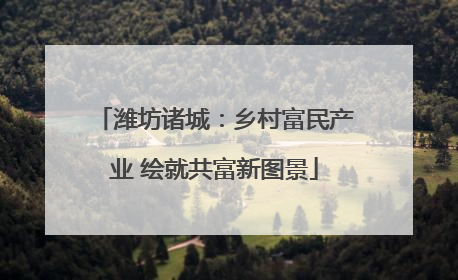 潍坊诸城：乡村富民产业 绘就共富新图景