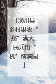 潢川县：乡村果农“愁”满天  民兵出“机”情满园