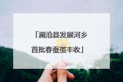 澜沧县发展河乡首批春蚕茧丰收