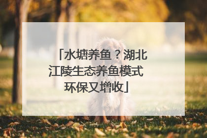 水塘养鱼？湖北江陵生态养鱼模式环保又增收