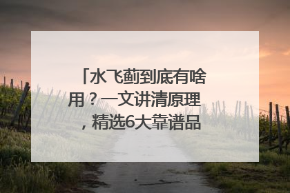 水飞蓟到底有啥用？一文讲清原理，精选6大靠谱品牌助你科学养生