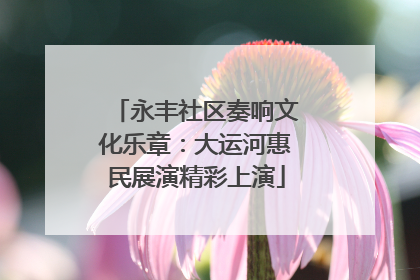 永丰社区奏响文化乐章：大运河惠民展演精彩上演