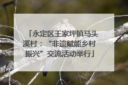 永定区王家坪镇马头溪村：“非遗赋能乡村振兴”交流活动举行