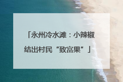 永州冷水滩：小辣椒结出村民“致富果”