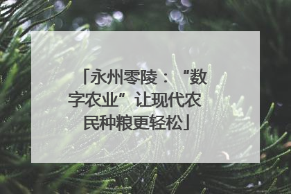 永州零陵：“数字农业”让现代农民种粮更轻松