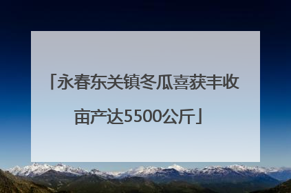 永春东关镇冬瓜喜获丰收 亩产达5500公斤