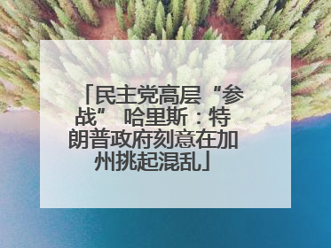 民主党高层“参战” 哈里斯：特朗普政府刻意在加州挑起混乱