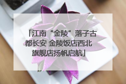江南“金陵”落子古都长安 金陵饭店西北旗舰店扬帆启航