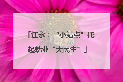 江永：“小站点”托起就业“大民生”