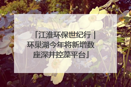 江淮环保世纪行｜环巢湖今年将新增数座深井控藻平台
