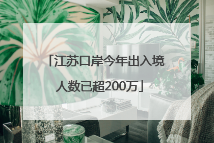 江苏口岸今年出入境人数已超200万