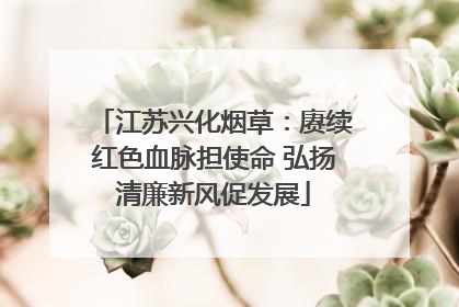 江苏兴化烟草：赓续红色血脉担使命 弘扬清廉新风促发展