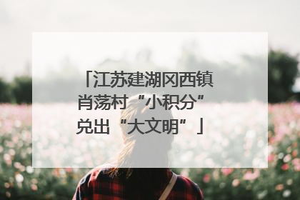 江苏建湖冈西镇肖荡村“小积分”兑出“大文明”