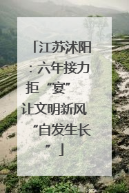 江苏沭阳：六年接力拒“宴” 让文明新风“自发生长”