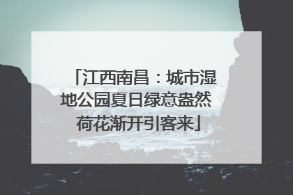 江西南昌：城市湿地公园夏日绿意盎然 荷花渐开引客来
