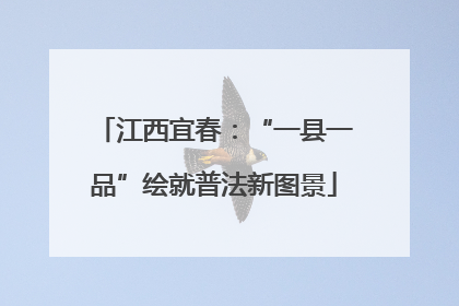 江西宜春：“一县一品”绘就普法新图景