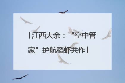 江西大余：“空中管家”护航稻虾共作
