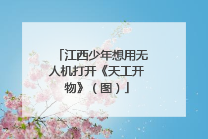 江西少年想用无人机打开《天工开物》（图）