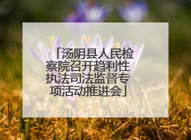 汤阴县人民检察院召开趋利性执法司法监督专项活动推进会