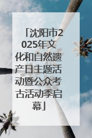 沈阳市2025年文化和自然遗产日主题活动暨公众考古活动季启幕