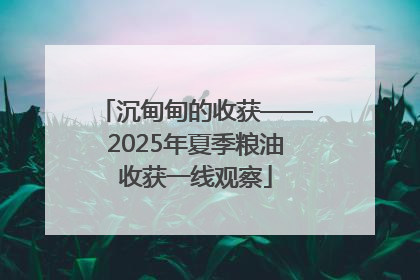 沉甸甸的收获——2025年夏季粮油收获一线观察