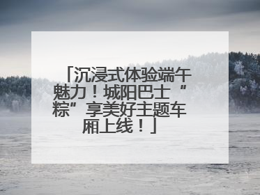 沉浸式体验端午魅力！城阳巴士“粽”享美好主题车厢上线！