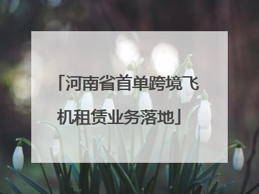 河南省首单跨境飞机租赁业务落地