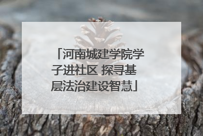 河南城建学院学子进社区 探寻基层法治建设智慧