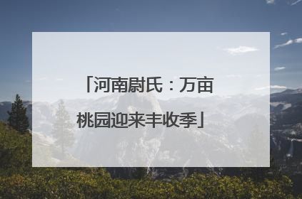 河南尉氏：万亩桃园迎来丰收季