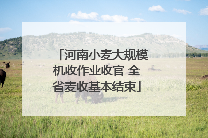 河南小麦大规模机收作业收官 全省麦收基本结束