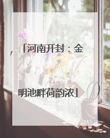 河南开封：金明池畔荷韵浓