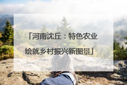 河南沈丘：特色农业绘就乡村振兴新图景