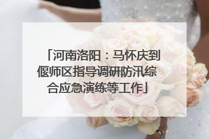 河南洛阳：马怀庆到偃师区指导调研防汛综合应急演练等工作