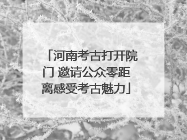 河南考古打开院门 邀请公众零距离感受考古魅力