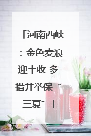 河南西峡：金色麦浪迎丰收 多措并举保“三夏”