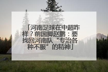 河南足球在中超咋样？前国脚赵鹏：要找回河南队“专治各种不服”的精神