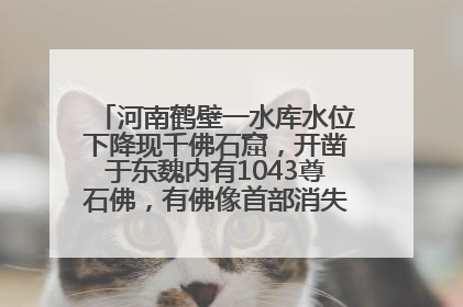 河南鹤壁一水库水位下降现千佛石窟，开凿于东魏内有1043尊石佛，有佛像首部消失，水库管理方回应