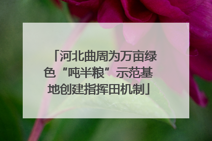 河北曲周为万亩绿色“吨半粮”示范基地创建指挥田机制