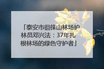 泰安市徂徕山林场护林员邓兴法：37年扎根林场的绿色守护者