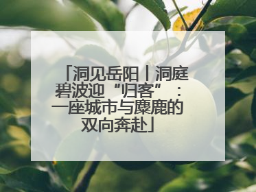 洞见岳阳丨洞庭碧波迎“归客”：一座城市与麋鹿的双向奔赴