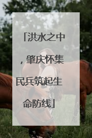 洪水之中，肇庆怀集民兵筑起生命防线