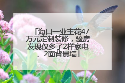 海口一业主花47万元定制装修，验房发现仅多了2样家电、2面背景墙