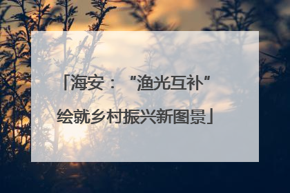 海安：“渔光互补” 绘就乡村振兴新图景