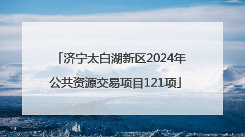 济宁太白湖新区2024年公共资源交易项目121项